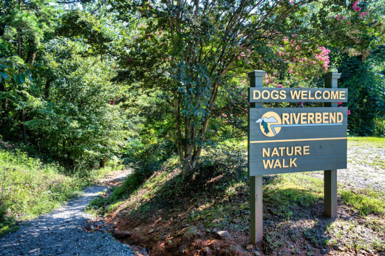 12 - Ammenities - 573 Birddog Boulevard - Lake Lure - Skywalker Air