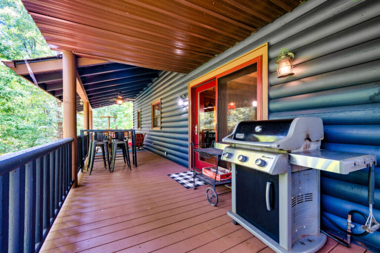 12 - Exterior Ground Photos - 573 Birddog Boulevard - Lake Lure - Skywalker Air