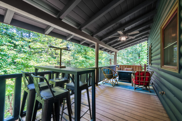 13 - Exterior Ground Photos - 573 Birddog Boulevard - Lake Lure - Skywalker Air