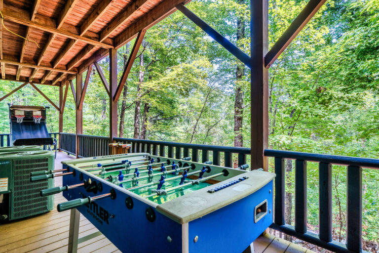 16 - Exterior Ground Photos - 573 Birddog Boulevard - Lake Lure - Skywalker Air