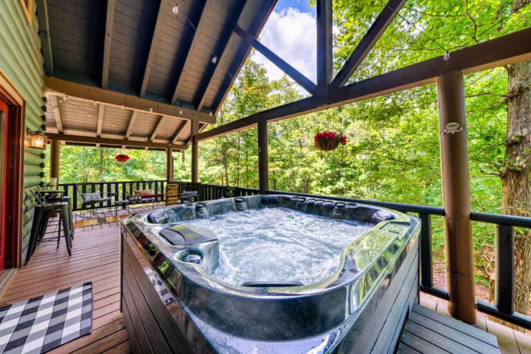 6 - Exterior Ground Photos - 573 Birddog Boulevard - Lake Lure - Skywalker Air