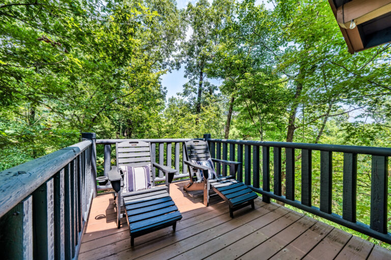 9 - Exterior Ground Photos - 573 Birddog Boulevard - Lake Lure - Skywalker Air
